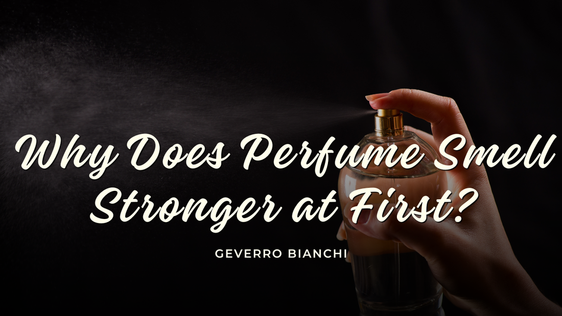 Why Does Perfume Smell Stronger at First?